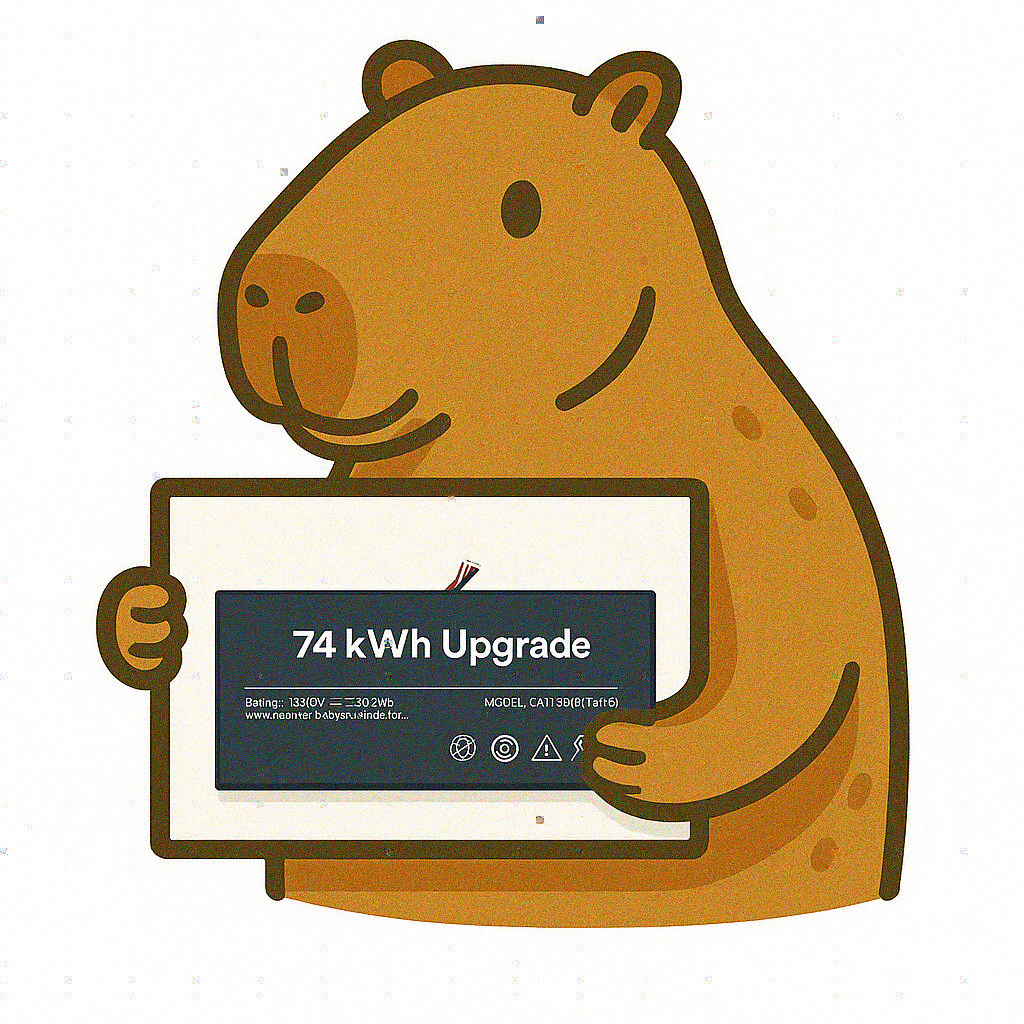 Rog Ally – 74 kWh High-Capacity Battery Upgrade (Pro Installation)